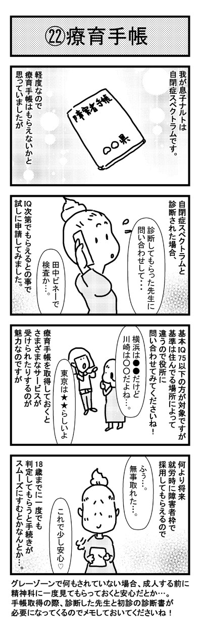 金時レモンのゆるゆる発達障害児育児日記 軽度の場合の療育手帳の手続きについて