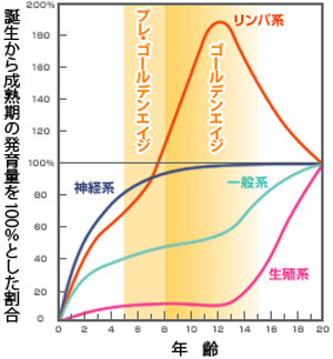 スキャモンの発達・発育曲線